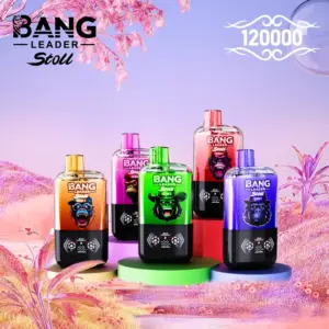 Bang Leader Stoll 120K Puffs