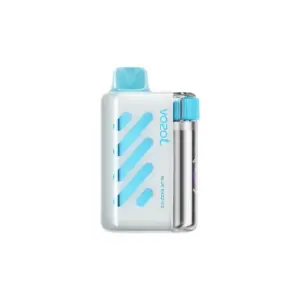 Vozol Vista 40K Puffs