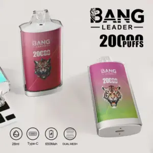Bang Leader 20K Puffs